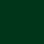 ral-6005-zielony